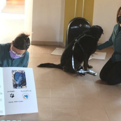 Laboratorio adolescenti Pet-therapy a Moncalieri in Provincia di Torino