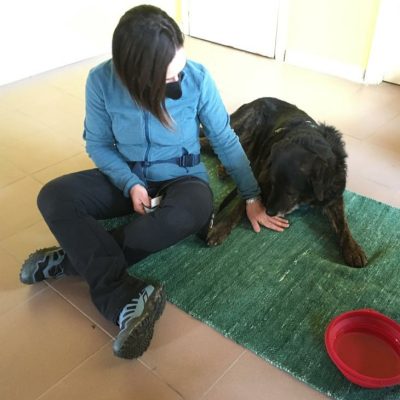 Laboratorio adolescenti Pet-therapy a Moncalieri in Provincia di Torino