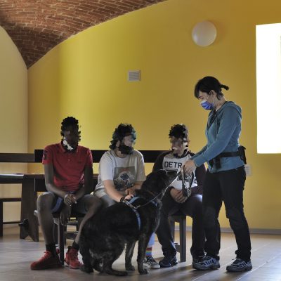 Pet Therapy Torino Moncalieri